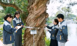 Từ kho báu dược liệu đến thị trường tỉ USD: Còn thiếu điều gì?