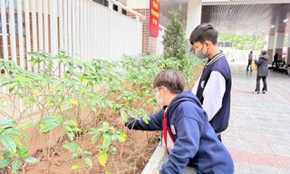 Vì sao con ngoan ở nhà ra đời hay vấp ngã?