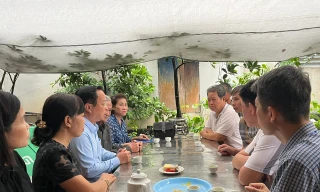 Vụ lật tàu ở Quảng Ninh: 7 học sinh Hà Nội thương vong