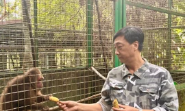 Nơi ứng cứu động vật sách đỏ ở Phú Thọ