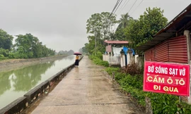 Phú Thọ: Bờ sông sạt lở kéo dài nhiều năm, hàng chục hộ sống trong bất an