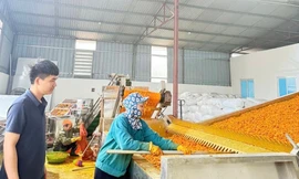 Chàng thanh niên ở Phú Thọ xây nên cơ đồ, tạo việc làm cho hàng chục lao động