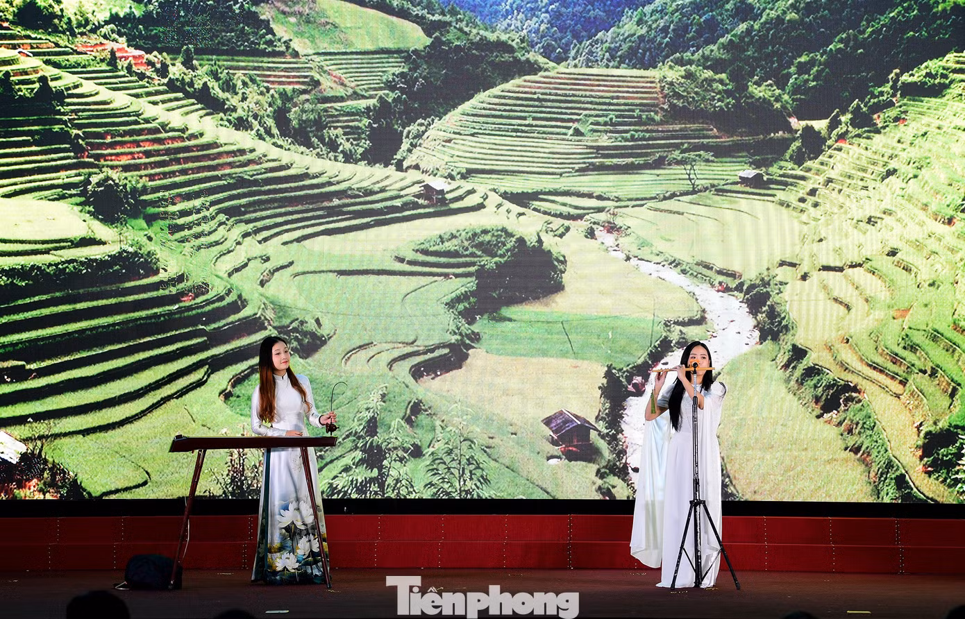 tp-trungtam11.jpg