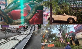 Hà Nội: Cây đổ la liệt, nhiều xe ô tô bị đè bẹp sau cơn giông mạnh