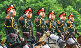 Dàn kỵ binh cảnh sát cơ động tập luyện diễu binh, diễu hành Quốc khánh 2/9
