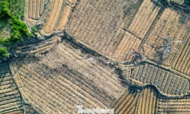 Cả cánh đồng lúa, hoa màu tan hoang, người dân Thái Nguyên bật khóc 