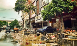 Miễn, giảm thuế cho doanh nghiệp thiệt hại do bão