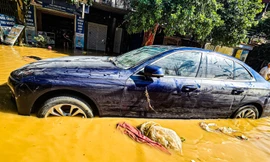 Bồi thường hơn 1.670 tỷ đồng bảo hiểm do thiệt hại bão 