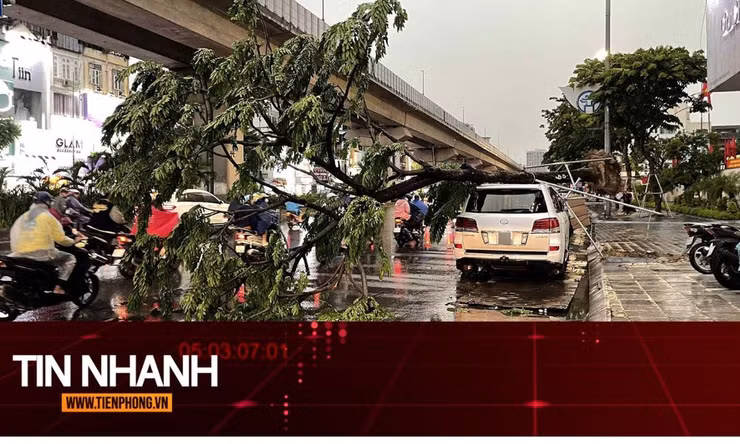 TIN NHANH: Vì sao dông lốc đôi khi nguy hiểm hơn cả bão?