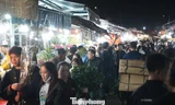 Biển người đổ về chợ hoa đêm 27 Tết