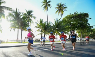 Cung đường 'vạn người mê' bên vịnh xanh Nha Trang tại Tiền Phong Marathon 2026