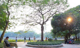 Cảnh công viên trung tâm của Hà Nội hạ rào, bỏ cửa