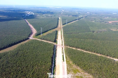 Hình hài đường cao tốc TPHCM đi Tây Nguyên sau gần 1 năm khởi công