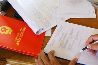 Thanh tra TPHCM vào cuộc vụ hô biến đất công thành 'đất ông'