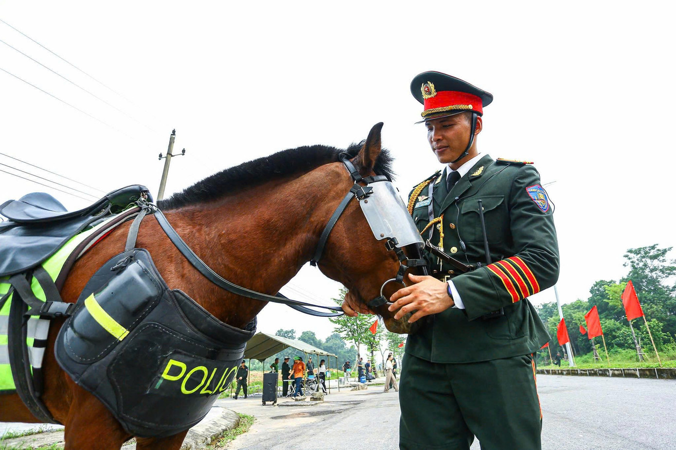 z6803762553177-4c4e17646f35acc7ece3cf1363dccdbc.jpg