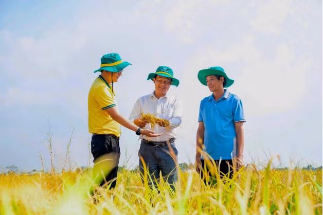 Hoạt động thiết thực trong việc đồng hành với bà con của Phân Bón Cà Mau