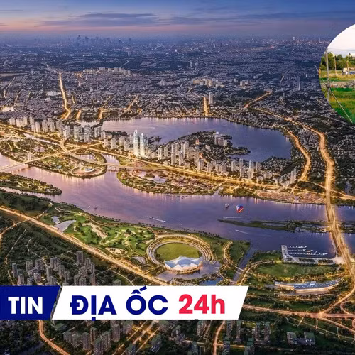 Địa ốc 24H: Chốt 3 doanh nghiệp đầu tư siêu dự án sông Hồng; cây xanh chết khô ở khu đô thị nghìn tỷ