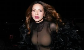 Hồ Ngọc Hà kêu cứu