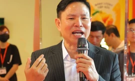 Tác phẩm nghệ thuật bằng bao bì tái chế lớn nhất Việt Nam