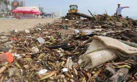 Cảnh tượng khó coi trên bãi biển ở TPHCM