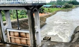 Hưng Yên di dời người dân ven biển vào nơi an toàn để ứng phó bão số 3