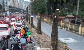 Xén vỉa hè, di dời cây xanh mở rộng nút giao Lê Văn Lương