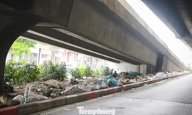 Chủ tịch Hà Nội chỉ đạo xử lý tình trạng rác dày đặc đường Vành đai 2, Vành đai 3