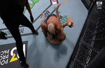 Sean O'Malley nằm yên chịu đấm trước Vera.