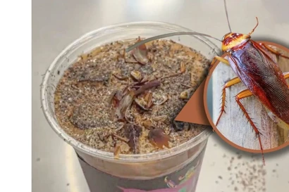 Cà phê gián gây sốc ở Trung Quốc