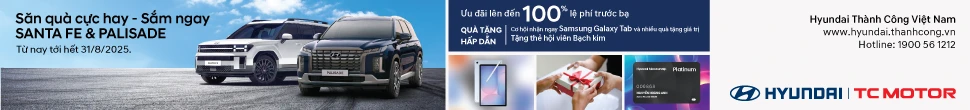 huydai-thanh-cong-pick