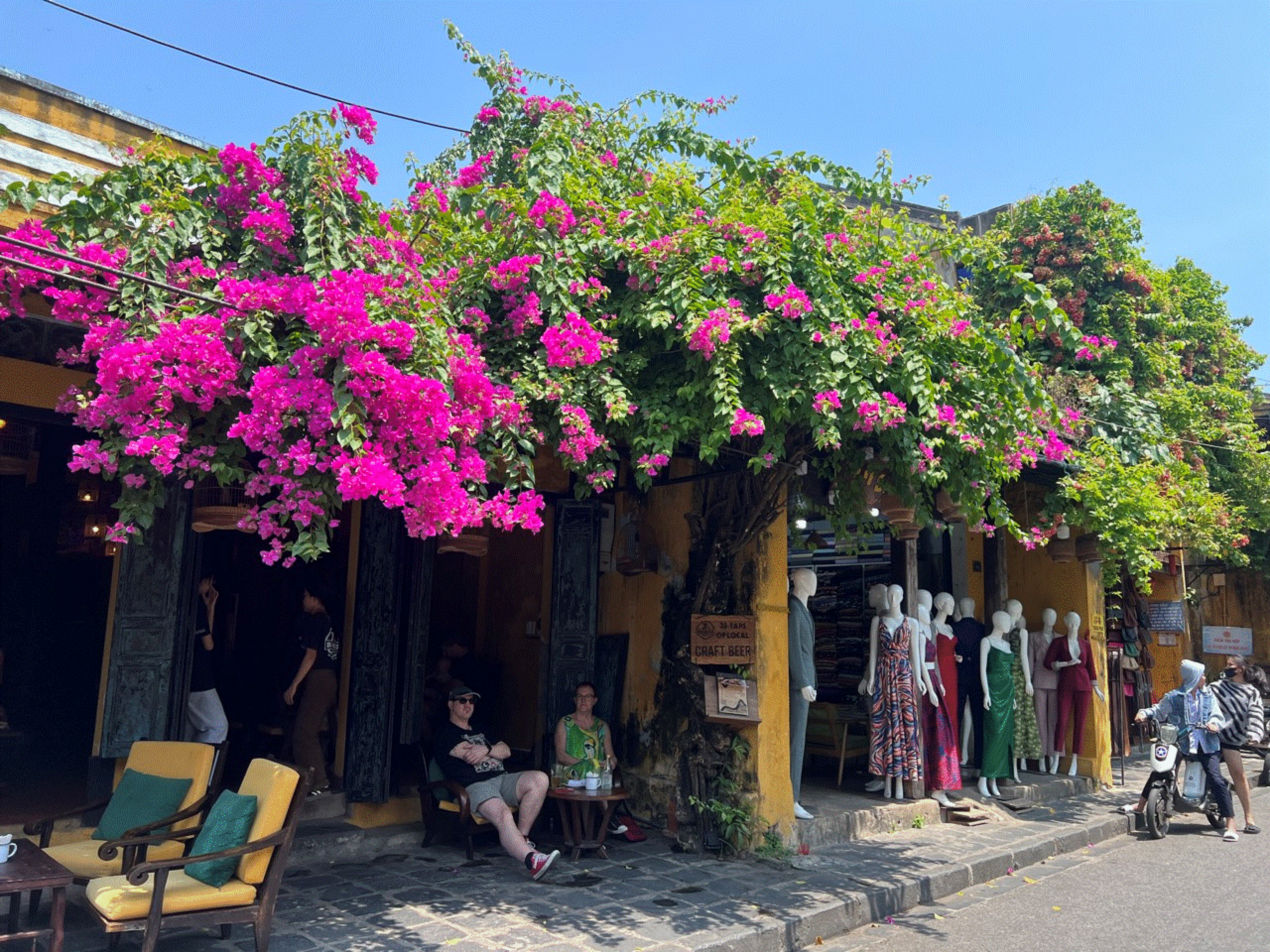 Ngồi dưới tán hoa giấy, thưởng thức một ly cà phê, nhìn ngắm mọi thứ chậm rãi trôi qua cũng là cách để tận hưởng cuộc sống.