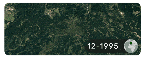 Khu rừng Harz ở Elend, Đức được chụp vào tháng 12 hàng năm, từ 1995 đến 2020 cho thấy nơi đây bị tàn phá nghiêm trọng vì hạn hán và bọ vỏ cây. Nguồn ảnh: Google Doodles Khu rừng Harz ở Elend, Đức được chụp vào tháng 12 hàng năm, từ 1995 đến 2020 cho thấy nơi đây bị tàn phá nghiêm trọng vì hạn hán và bọ vỏ cây. Nguồn ảnh: Google Doodles