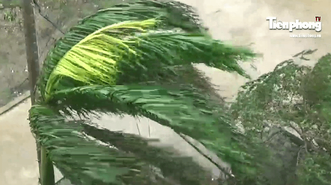 Đà Nẵng 'đón' bão số 6: Gió bắt đầu giật mạnh từng hồi