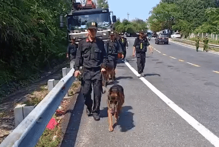 9 cảnh khuyển hỗ trợ tìm kiếm phạm nhân vượt ngục được rút ra khỏi rừng Hải Vân