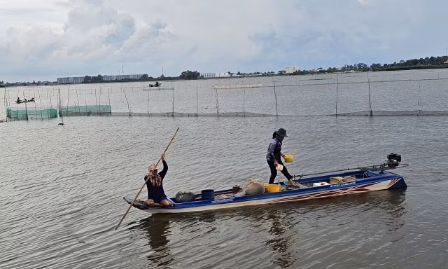 Cảnh mưu sinh nơi đầu nguồn lũ miền Tây