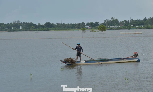 Đồng bằng sông Cửu Long trước câu hỏi: Ở lại hay di cư?