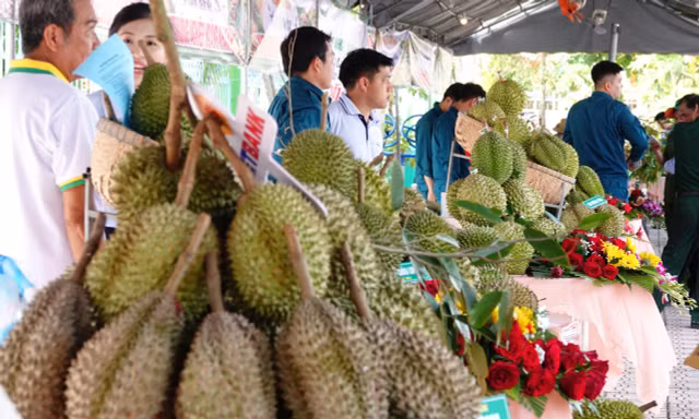 Chất lượng sầu riêng miền Tây không thua kém Thái Lan, vấn đề ở Cadimi 