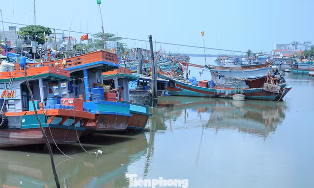 Vĩnh Long cao điểm tuần tra, xử lý tàu cá ‘3 không’