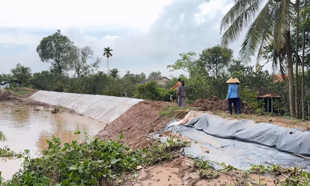 Triều cường, sạt lở gây thiệt hại nhiều nơi ở Vĩnh Long