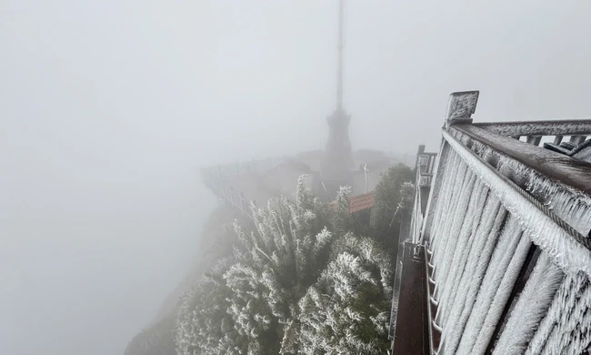 Băng giá bao phủ đỉnh Fansipan trong đợt rét tê tái