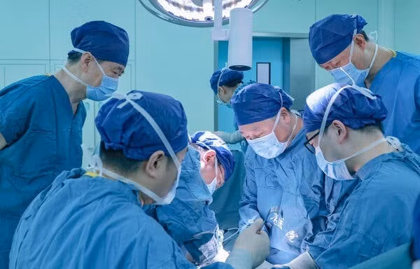 Trung Quốc đạt bước đột phá trong ghép tạng: Gan lợn hoạt động trong cơ thể người