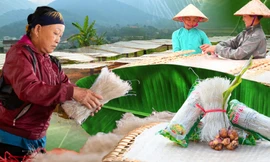 Hồi sinh nghề cũ, mở lối thoát nghèo mới ở Bình Liêu