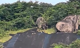 CLIP: Xôn xao 4 con vật lạ trắng như tuyết trên đỉnh Ma Thiên Lãnh