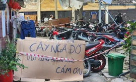 Cây cao 20m bật gốc sau giông lốc, uy hiếp hàng chục hộ dân Thanh Đa