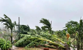 Ninh Bình mưa lớn gây ngập nặng