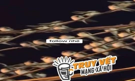 Ngành chức năng nói gì hiện tượng hàng ngàn con chim én đậu chằng chịt trên dây điện ở Cần Thơ?