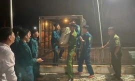 Hình ảnh di dời người dân ra khỏi vùng ngập úng do thủy điện Trị An xả lũ