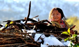 Đông chí năm 2025 là ngày nào, có ý nghĩa gì với người Việt Nam