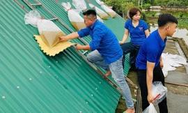 Thanh niên ba tỉnh chạy đua với bão số 3