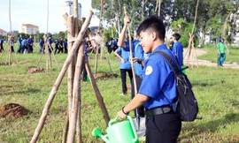 Ra quân 'Ngày Chủ nhật Xanh' toàn quốc lần thứ VI, tại Huế